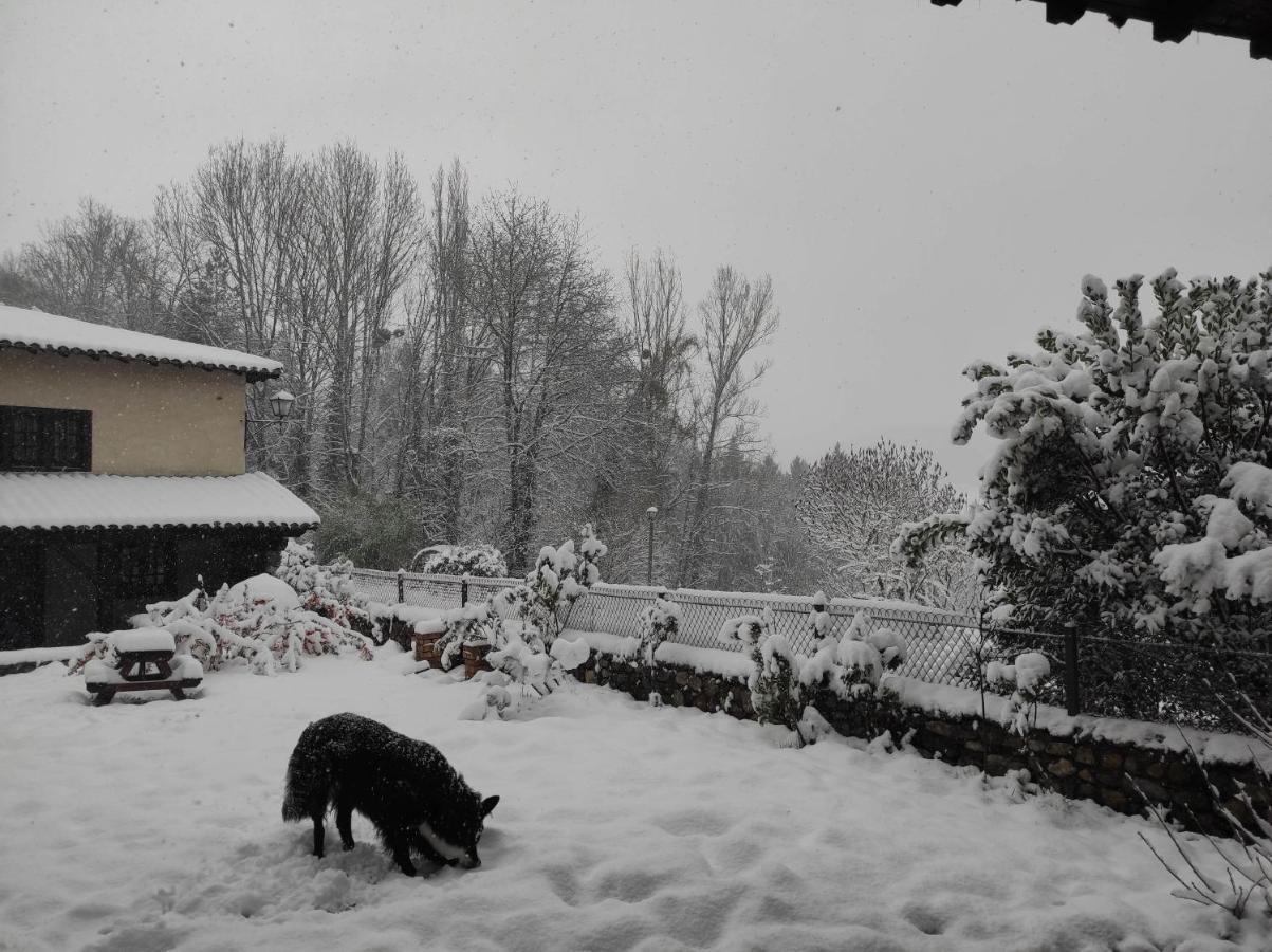 L'Oree Des Bois Courpiere Buitenkant foto