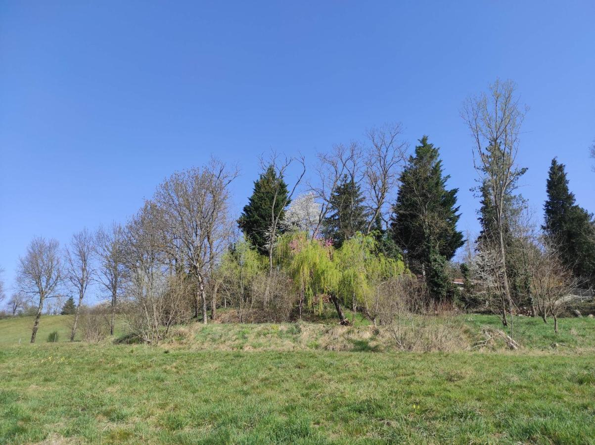 L'Oree Des Bois Courpiere Buitenkant foto