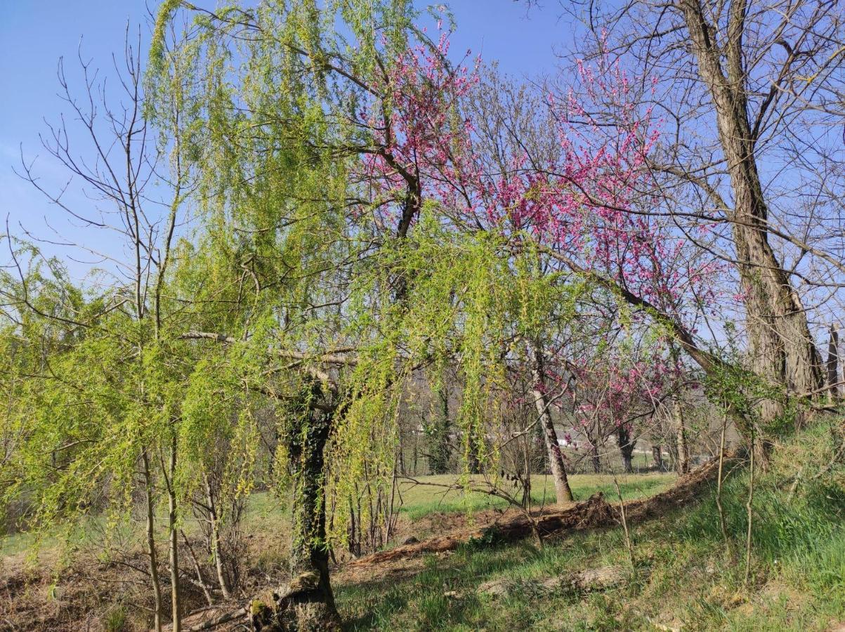 L'Oree Des Bois Courpiere Buitenkant foto